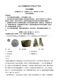 2023年湖北省恩施州中考历史真题（解析版）