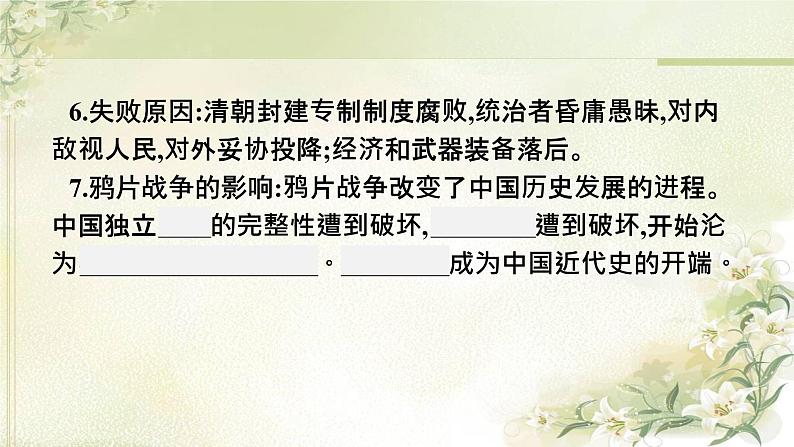 人教版初中历史总复习第7单元中国开始沦为半殖民地半封建社会课件第5页