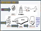 人教版九年级下册第一单元第二课俄国的改革PPT课件