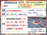 1.4++唐朝的中外文化交流+课件+2023-2024学年部编版历史七年级下册