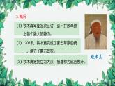 统编版历史七年级下册 第10课 蒙古族的兴起与元朝的建立课件