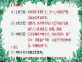 统编版历史七年级下册 第19课 清朝前期社会经济的发展课件
