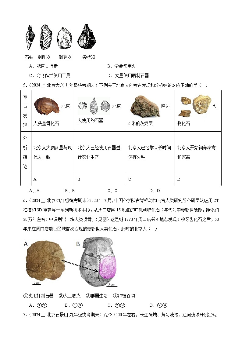史前时期：中国境内早期人类与文明的起源 练习题 （含解析）2024年北京市九年级历史中考一轮复习第2页