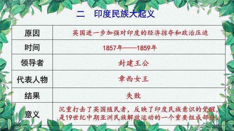 统编版历史九年级下册 第1课 殖民地人民的反抗斗争课件第5页