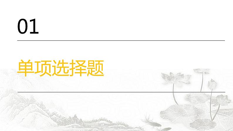 中考历史复习专题二三国两晋南北朝的民族交融与隋唐统一多民族封建国家的发展课件第2页