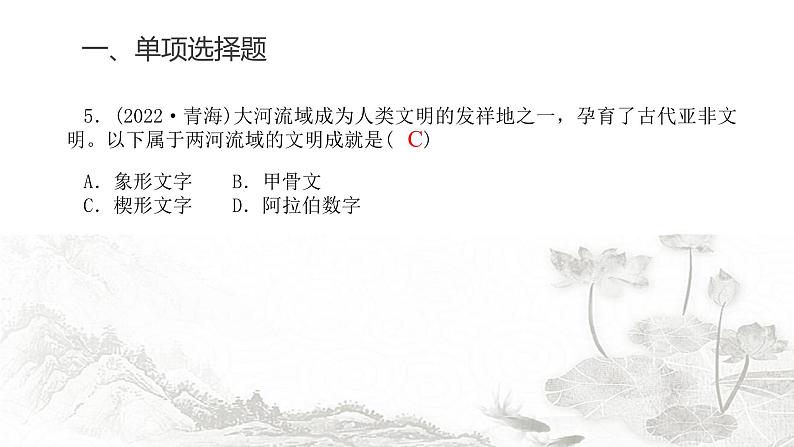 中考历史复习专题十从古代文明的产生与发展到中世纪的世界课件第7页