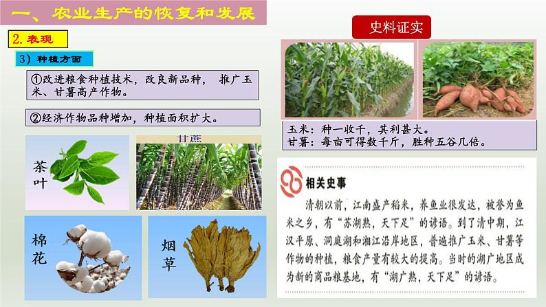 第19课 清朝前期社会经济的发展（同步课件）第8页