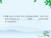 统编版历史七年级下册 第19课 清朝前期社会经济的发展课件