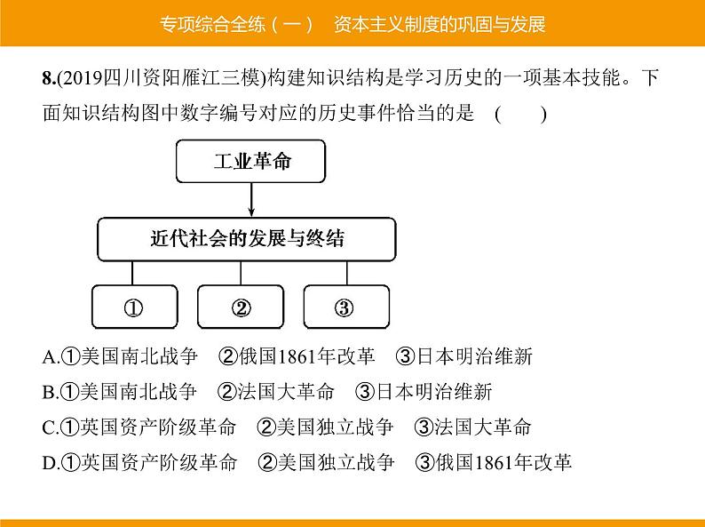 部编版九年级历史下册 专项综合全练一资本主义制度的巩固与发展 课件第8页