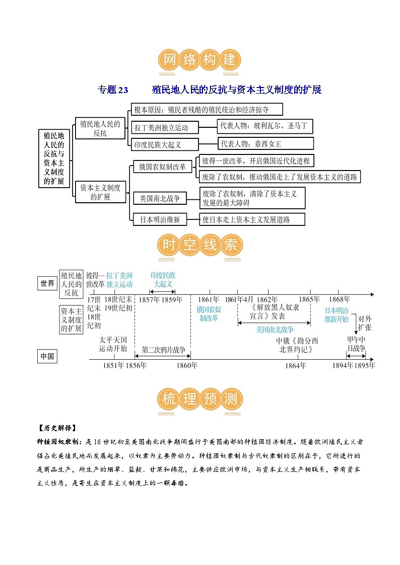 （讲义）专题23 殖民地人民的反抗与资本主义制度的扩展（解析版）第3页