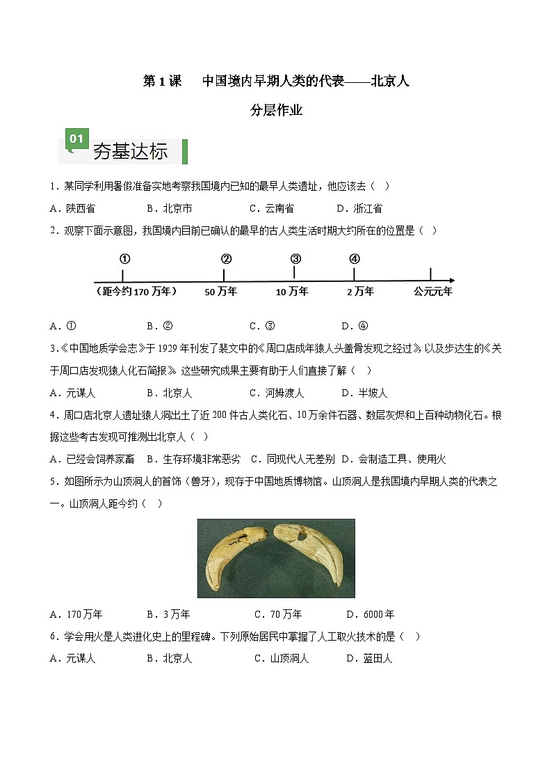 第1课 中国境内早期人类的代表——北京人（分层作业）（含答案解析）-七年级历史上册同步备课系列（部编版）第1页