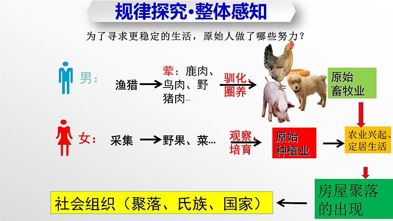 第2课 原始农耕生活（教学课件）第5页