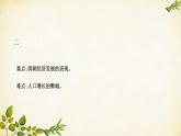 统编版历史七年级下册 第19课 清朝前期社会经济的发展课件