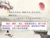 统编版历史七年级下册第19课 清朝前期社会经济的发展课件