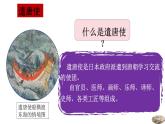 1.4++唐朝的中外文化交流++课件++2023-2024学年统编版七年级历史下册