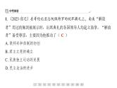 第一单元　殖民地人民的反抗与资本主义制度的扩展++课件+2023-2024学年统编版九年级历史下册