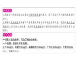 4.12民族大团结+课件+2023-2024学年统编版八年级历史下册