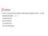 4.12民族大团结+课件+2023-2024学年统编版八年级历史下册