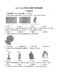 河南省驻马店市汝南县2023-2024学年九年级上学期期中历史试题