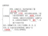 2.11+元朝的统治+课件+2023-2024学年统编版七年级历史下册