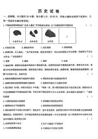 广东省霞山区部分学校2024年九年级下学期一模历史试题