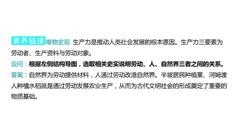 2024河南中考历史一轮复习板块一 中国古代史主题一 史前时期_中国境内早期人类与文明的起源课件第5页