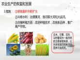 6.19社会生活的变迁课件+2023-2024学年统编版八年级历史下册