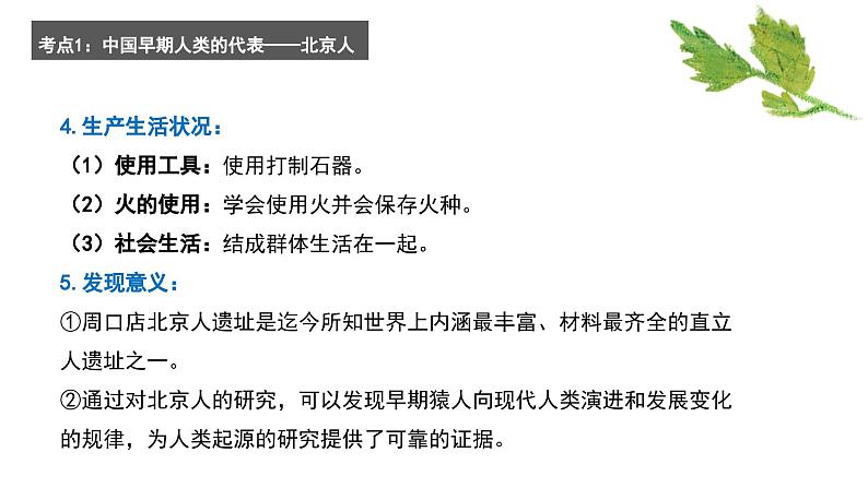 专题一 史前时期：中国境内早期人类与文明的起源——2024届中考历史一轮复习进阶课件【人教部编版】06