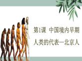 1.1中国境内早期人类的代表—北京人课件2023~2024学年统编版七年级历史上册
