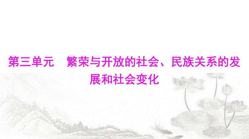 中考历史总复习中国古代史第三单元繁荣与开放的社会、民族关系的发展和社会变化课件第1页