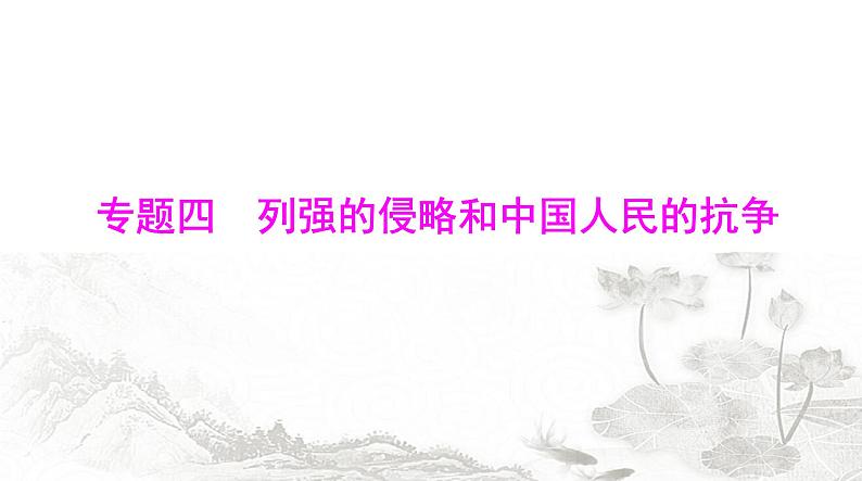 中考历史复习专题四列强的侵略和中国人民的抗争课件第1页