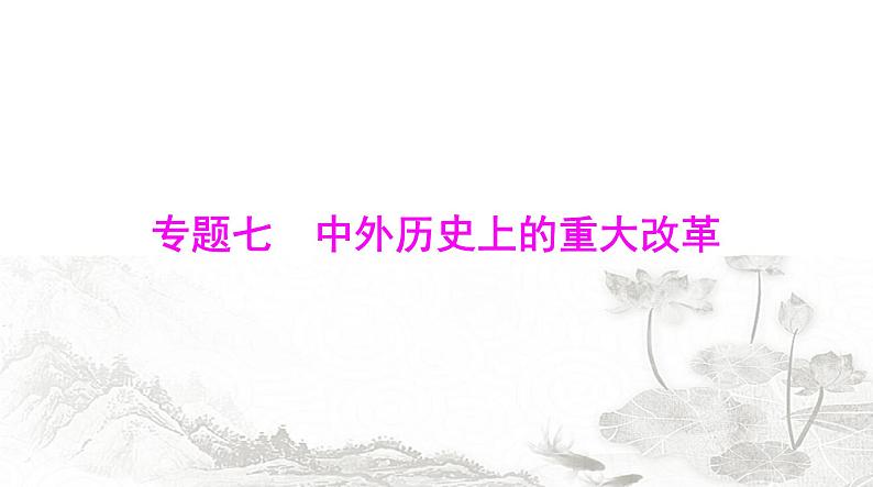 中考历史复习专题七中外历史上的重大改革课件01