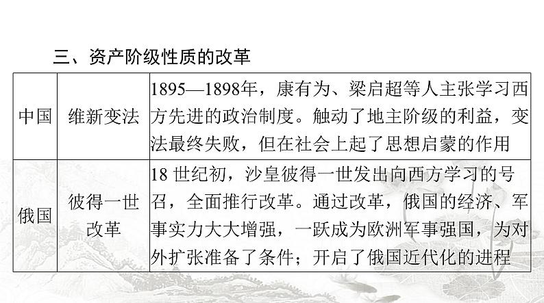 中考历史复习专题七中外历史上的重大改革课件05