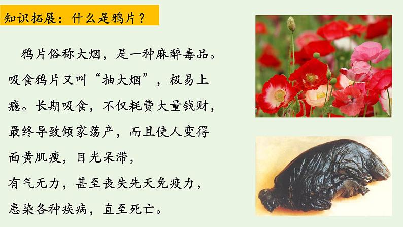 1.1+鸦片战争+课件+2020--2021学年部编版八年级历史上学期第7页