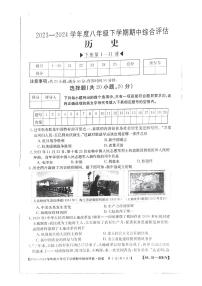 河南省郑州市新郑市2023-2024学年八年级下学期期中历史试题