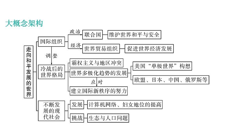 2024年中考历史一轮复习课件：世界现代史4---走向和平发展的世界第3页