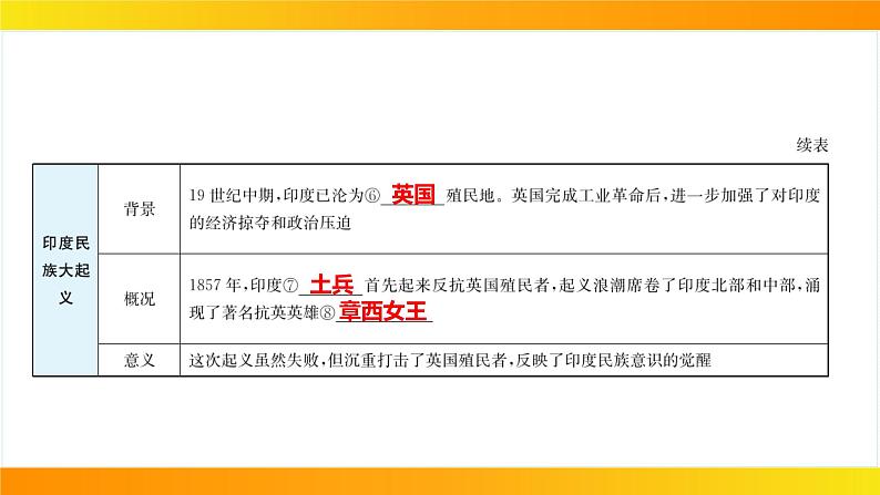 2024年中考历史一轮复习课件：世界近代史4殖民地人民的反抗与资本主义制度的扩展第6页