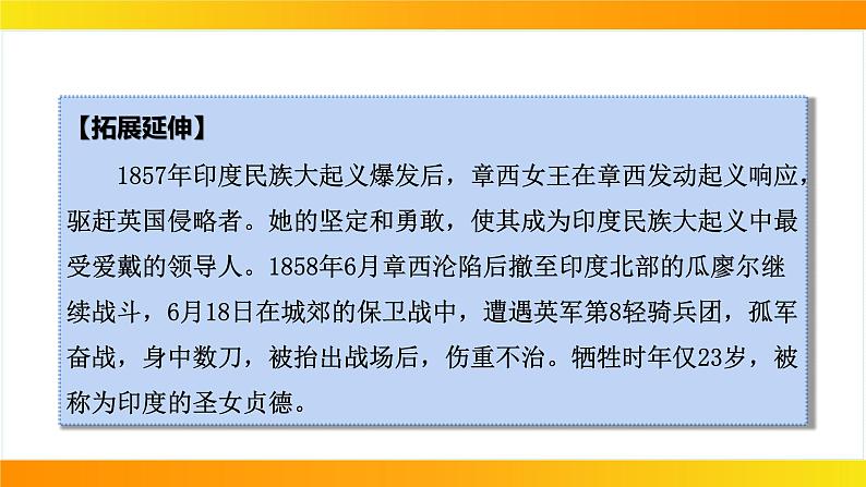 2024年中考历史一轮复习课件：世界近代史4殖民地人民的反抗与资本主义制度的扩展第7页