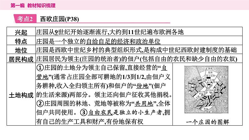 2024年中考历史一轮复习课件：世界古代史2封建时代的欧洲和亚洲第8页