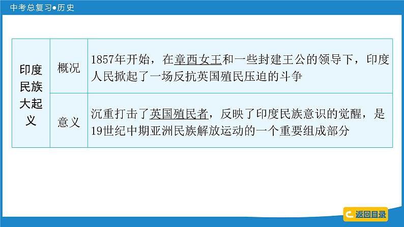 2024年中考历史一轮复习课件：世界近代史 第三单元  殖民地人民的反抗与资本主义制度的扩展课件第5页