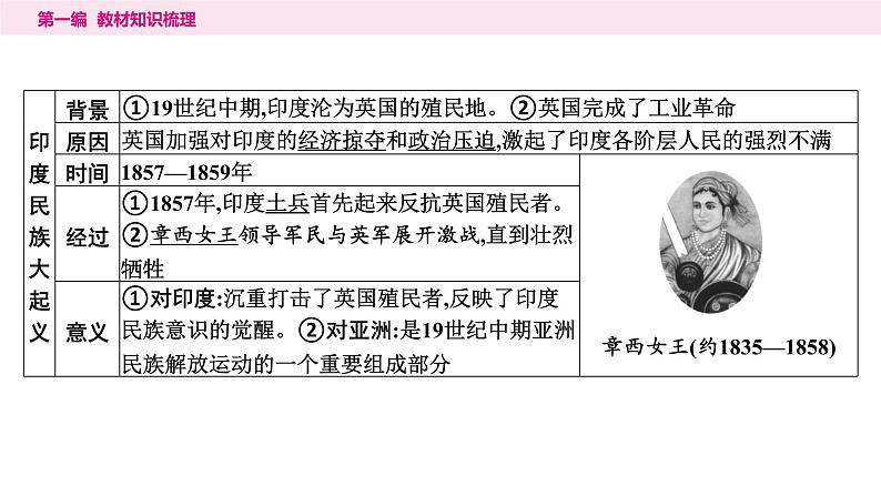 2024年中考历史一轮复习课件：世界近代史4殖民地人民的反抗与资本主义制度的扩展第6页