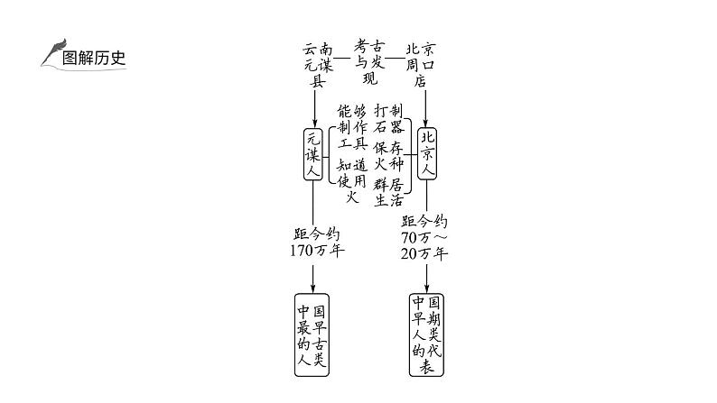 2024年中考历史一轮复习课件：中国古代史1中国境内早期人类及早期国家与社会变革第4页