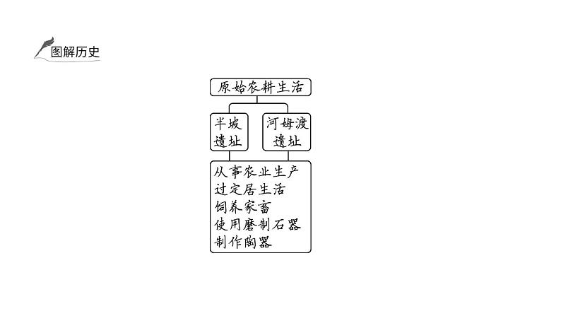 2024年中考历史一轮复习课件：中国古代史1中国境内早期人类及早期国家与社会变革第8页