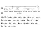 2024年中考历史一轮复习课件：中国古代史5隋唐时期：繁荣与开放的时代