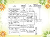 2024年中考历史二轮复习课件（宁夏专用）专题一  侵略与抗争