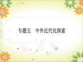 2024年中考历史二轮复习课件（宁夏专用）专题五中外近代化探索