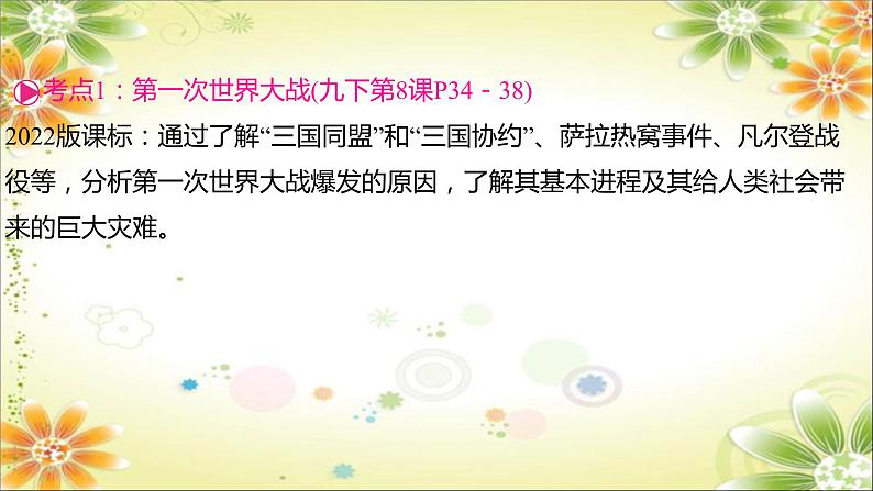 2024年中考历史一轮复习课件（宁夏专用）世界现代史第一单元　第一次世界大战和战后初期的世界07