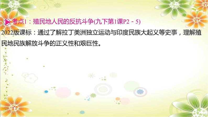 2024年中考历史一轮复习课件（宁夏专用）世界近代史第四单元　殖民地人民的反抗与资本主义制度的扩展04