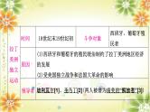 2024年中考历史一轮复习课件（宁夏专用）世界近代史第四单元　殖民地人民的反抗与资本主义制度的扩展