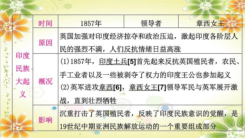 2024年中考历史一轮复习课件（宁夏专用）世界近代史第四单元　殖民地人民的反抗与资本主义制度的扩展07